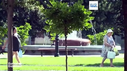 Estate 2025, record di malattie trasmesse dalle zanzare in Europa: allarme per virus del Nilo occidentale e chikungunya