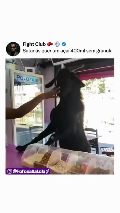 Bode compra açaí kkk