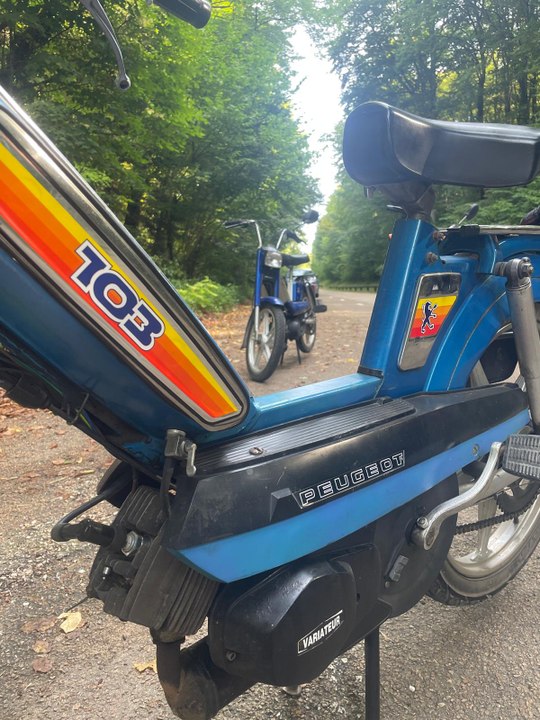 Tourisme à mobylettes : à Maulnes dans l'Yonne, des visites entre nature et nostalgie