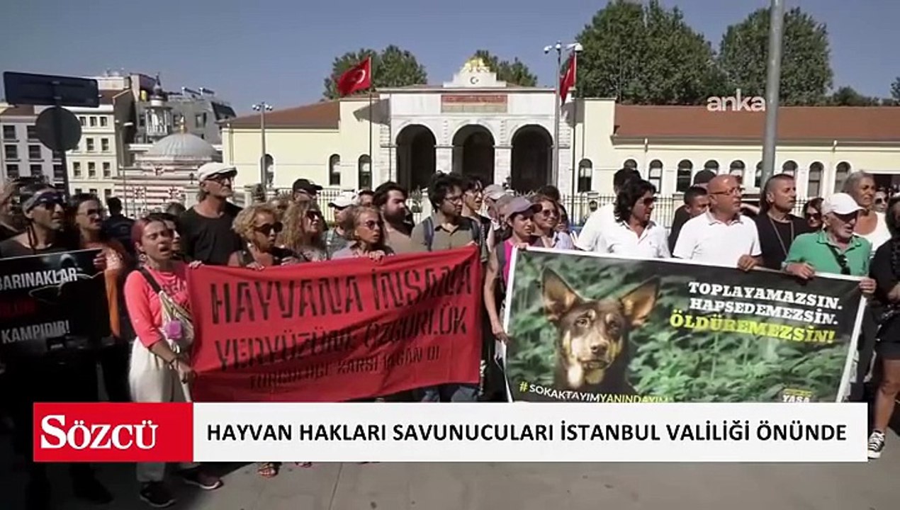 Hayvan hakları savunucuları İstanbul Valiliği önünde toplandı
