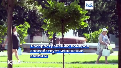 Вирус Западного Нила и чикунгунья распространяются по Европе