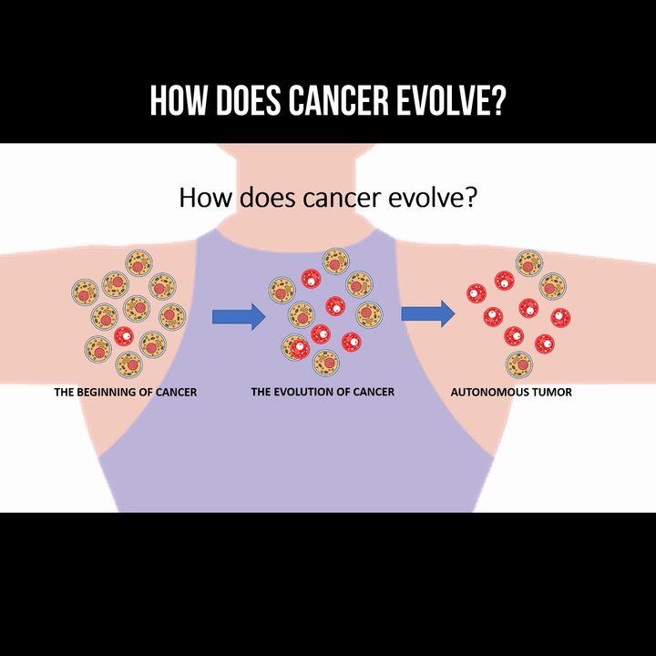 How does cancer evolve?