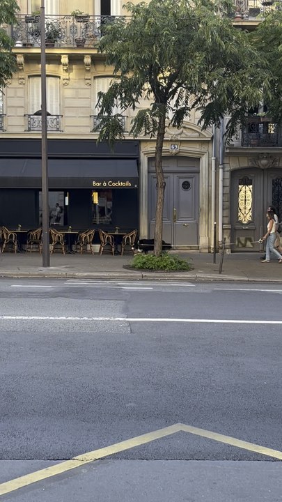 Quand Paris est à lui 🐾