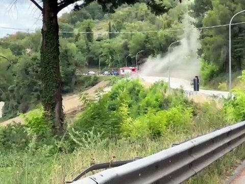 Image from field_mediaid