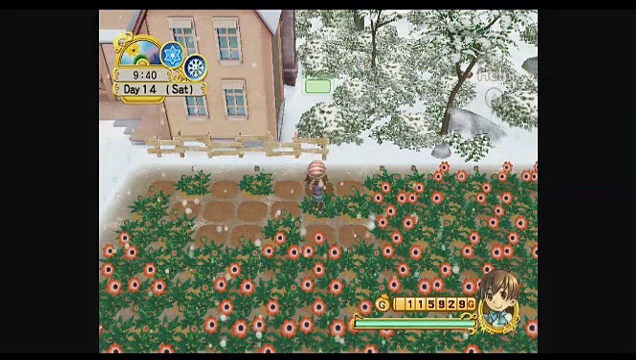 Tree of Tranquility Review Newbie's Perspective Part 3