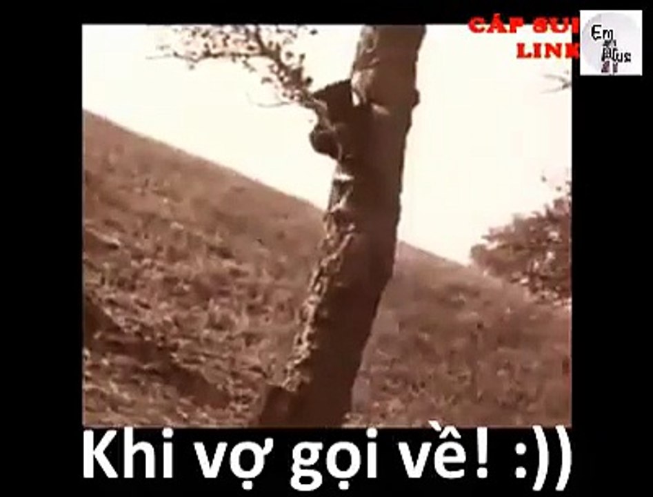 vợ gọi về funny clip