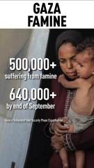Animation: Explaining the famine in Gaza