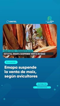 Emapa suspende la venta de maíz, según avicultores