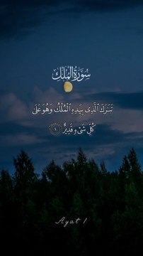 Surah Mulk|1 to 3 Ayats|MY Quran