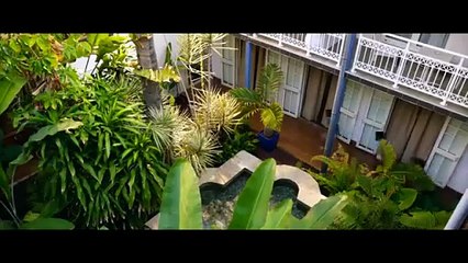 LE PETIT PIAF - Bande-annonce