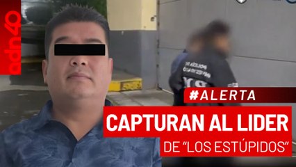 🚨¡Última Hora! Capturan a Luis Alberto "N", líder de "Los Estupidos"