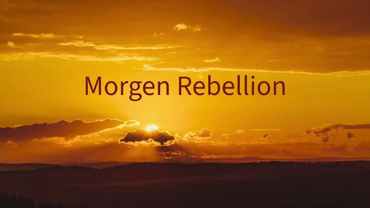 Morgen Rebellion-Willy will nicht 😂🤷‍♀️-Mix
