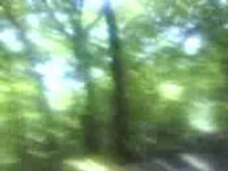 Jogging Forêt.