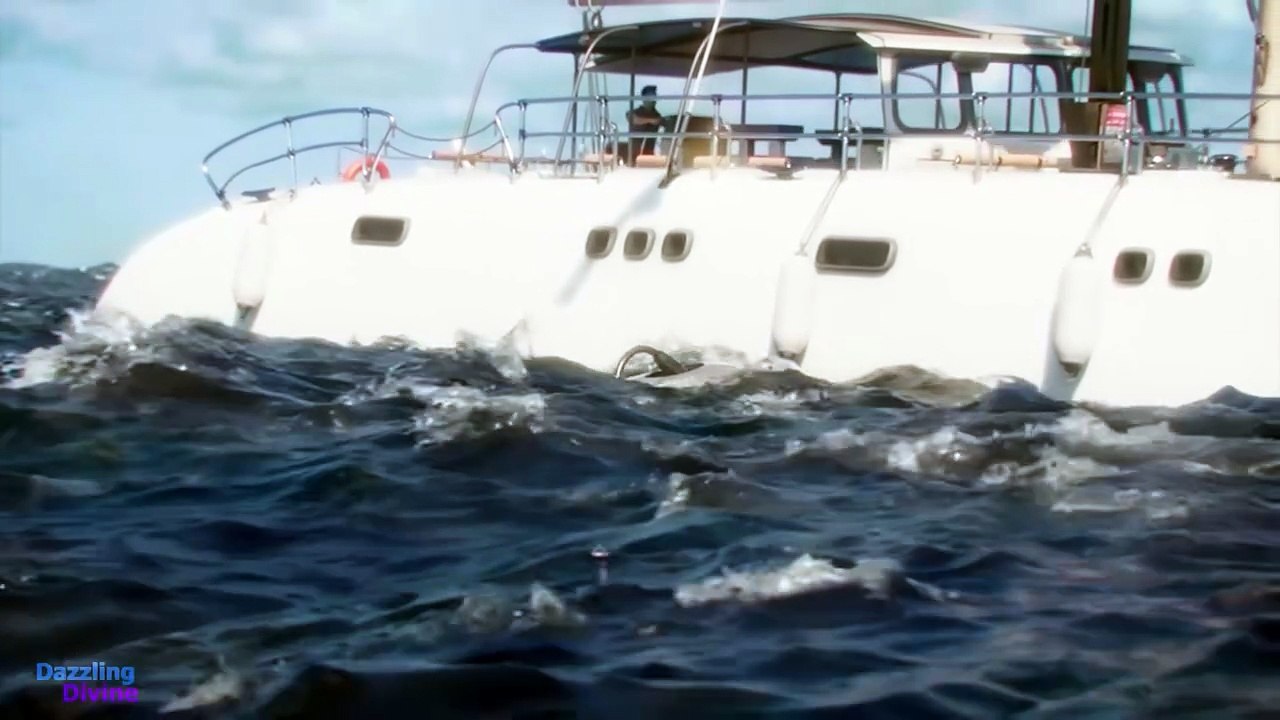 Most Awesome Underwater and Ocean Scenes of Godzilla by Dazzling Divine ocean heroes Stranded Pufferfish Rescued Just in Time