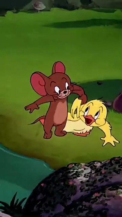 Swimming Lessons for Little Quacker 🐥 Tom & Jerry | kids