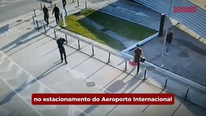 Passageiro abandona cachorro no aeroporto de Floripa e é preso em Brasília
