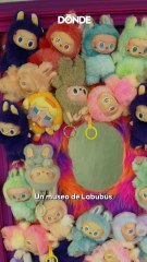 IMAGINE, la exposición japonesa de arte inmersivo en Human Museum