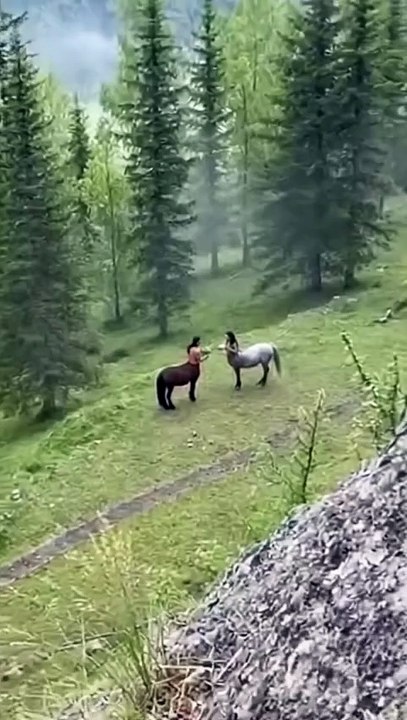 2 person meet in jungle