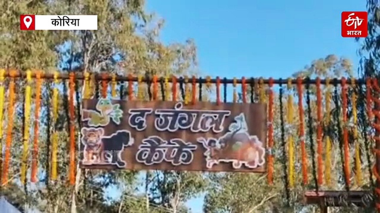 कोरिया में द जंगल कैफे से रोजगार और पर्यटन को बढ़ावा, वसंतोत्सव में हुआ शुभारंभ