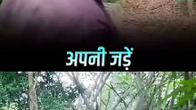 माहौल बदलो __ आचार्य प्रशांत