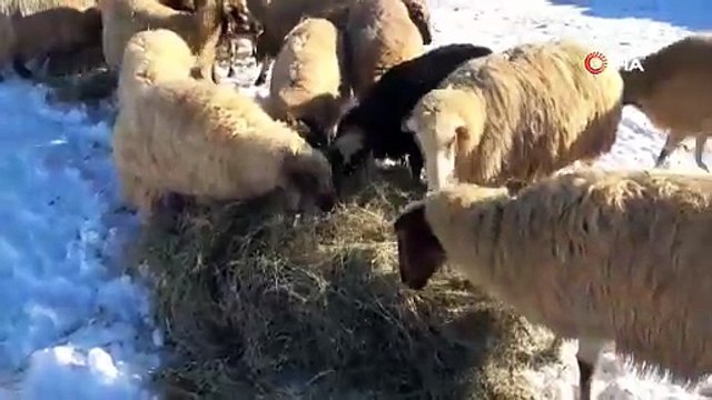 Van’da kar ve soğuk havada vatandaşların zorlu mesaisi sürüyor