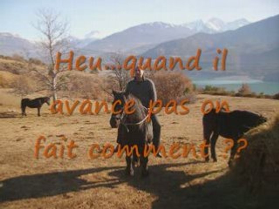 PMU