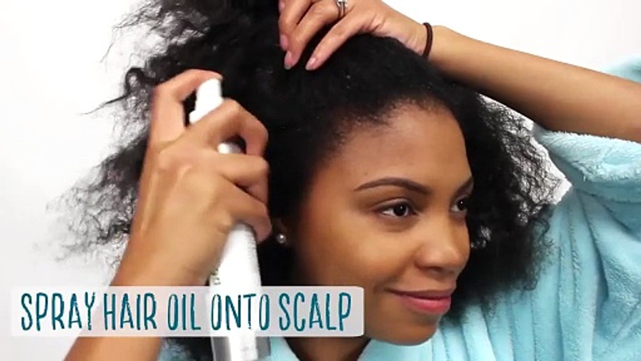 The Chignon - American Curl
