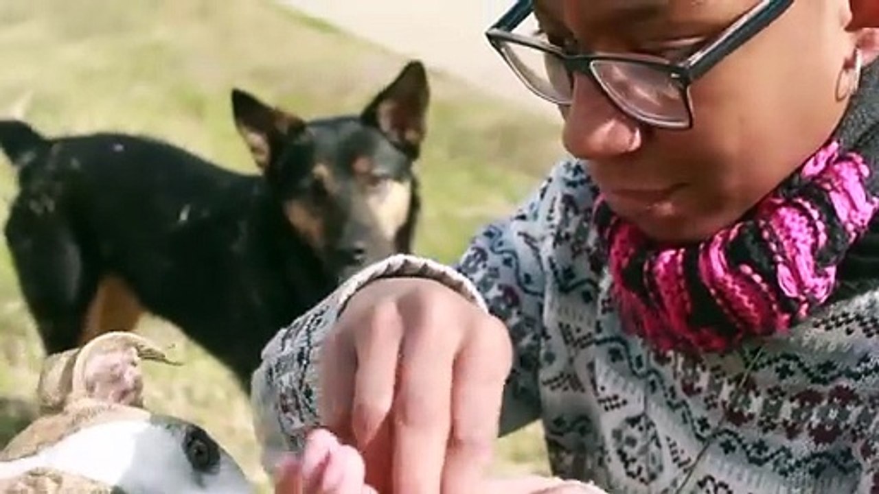 Volunteer Work As Self-Care - Gerilyn - ep 1 of 4