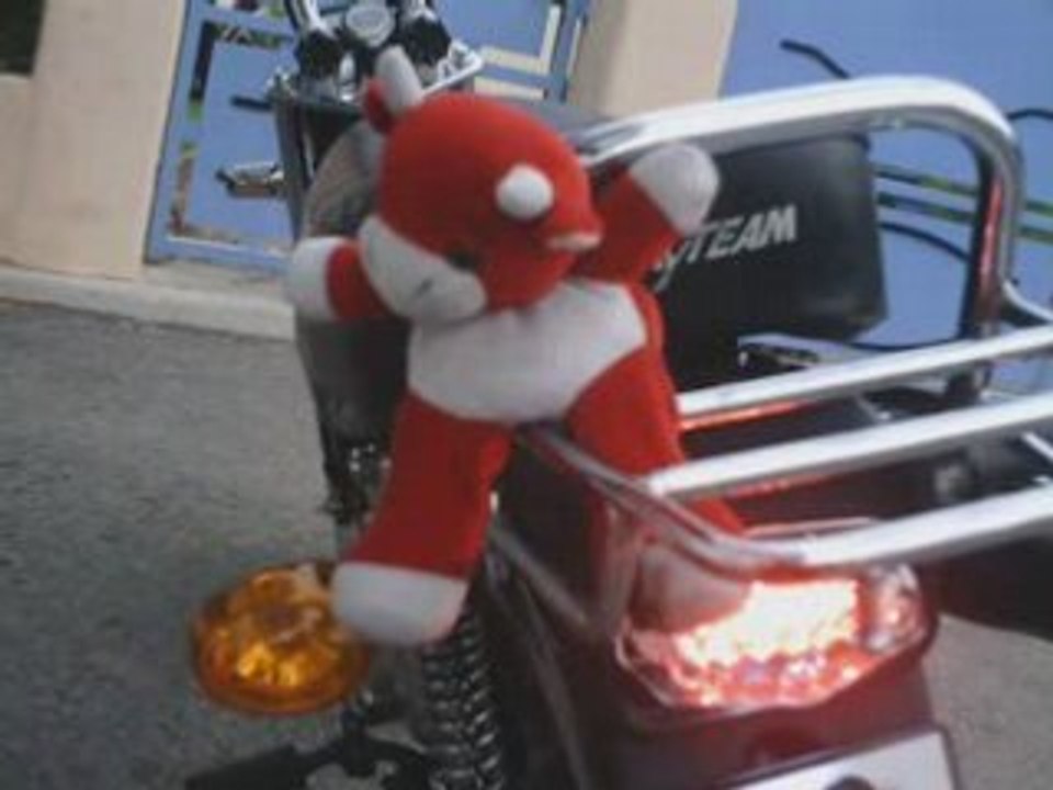 Mon SkyTeam (single day)