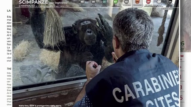 Incendi, tutela dell'ambiente e sicurezza alimentare: il bilancio di un anno di attività dei Forestali tra Calabria e Sicilia
