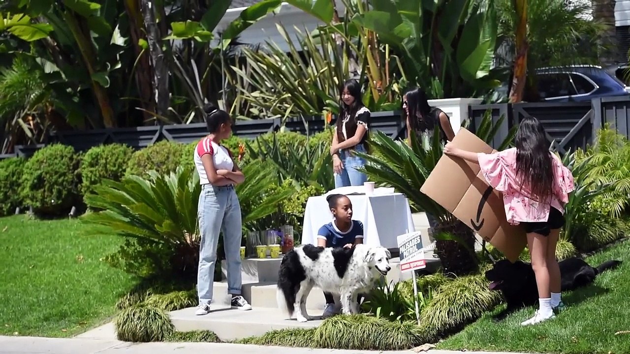 2019 – Johnny Hallyday – Laeticia Hallyday promène son chien (avril)