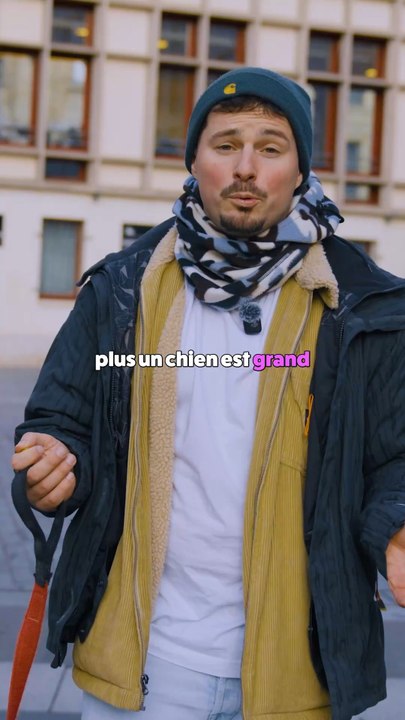 Plus un chien est grand, moins il vit longtemps