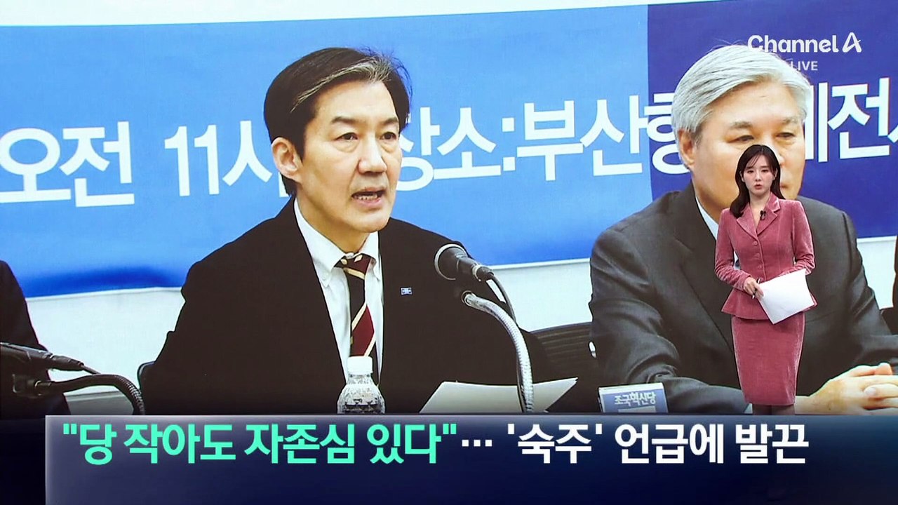 “당 작아도 자존심 있다”…조국, ‘숙주’ 언급에 발끈
