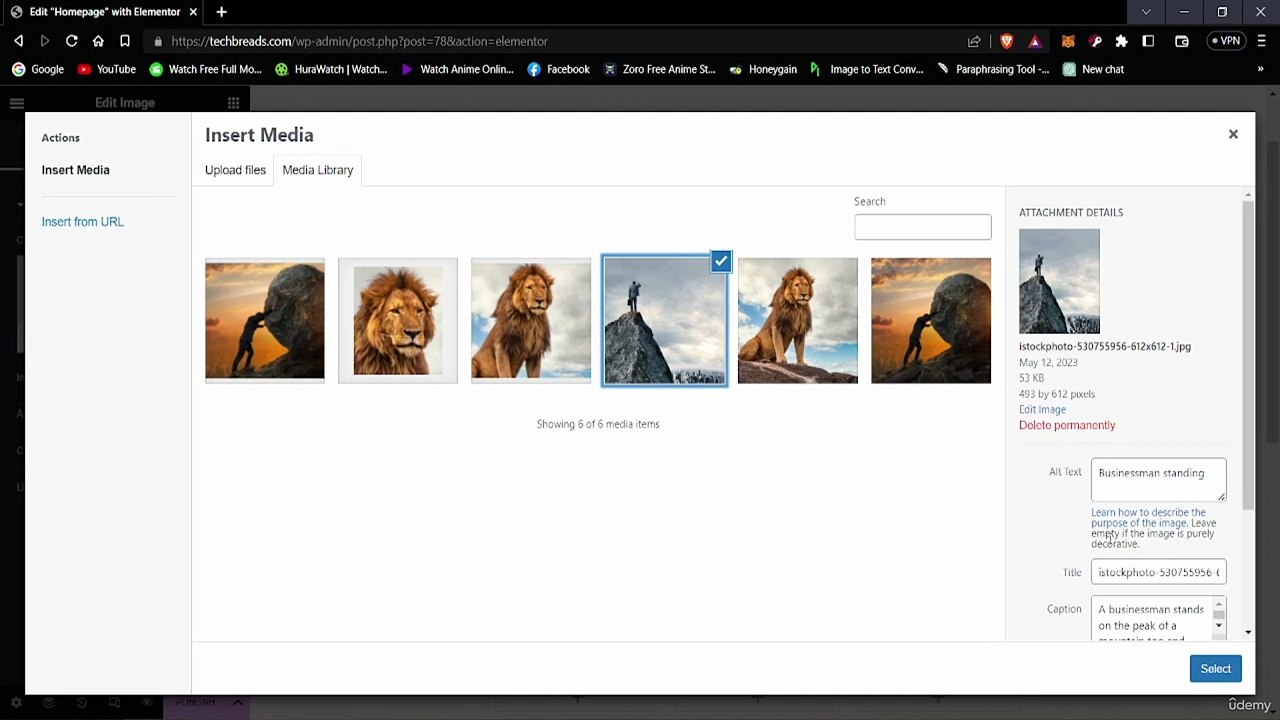8. 7  Functions Of Elementor - Wordpress Part 1