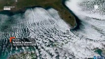 'Cloud streets' form over Florida as Arctic air brings rare freeze