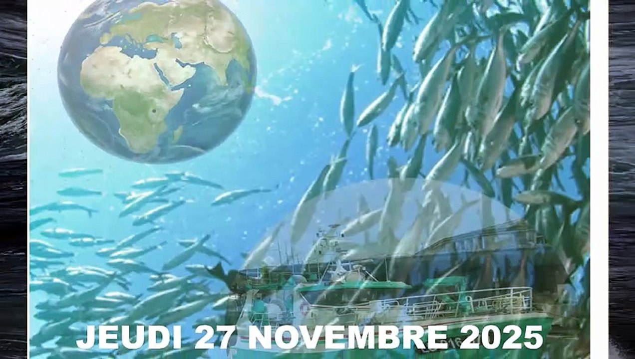 2025 JMP Les Pêcheurs, le Plancton et les Sardines * Collectif Pêche et Développement & Trigone Production
