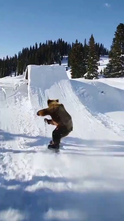 🎿