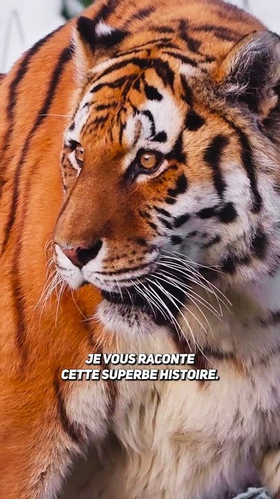 Par amour !