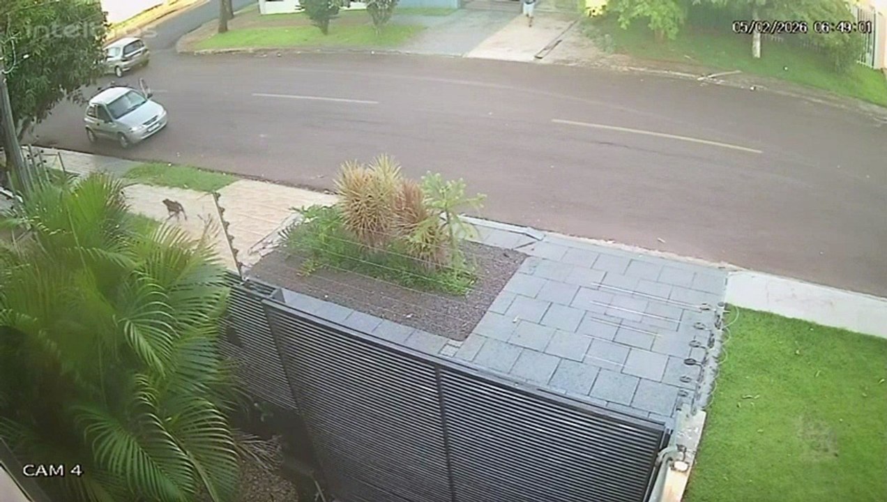 WhatsApp Video 2026-02-05 at 11.27.08
