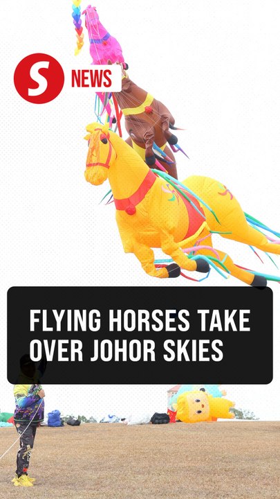 Dancing horses in the sky take centre stage at World Kite Festival  