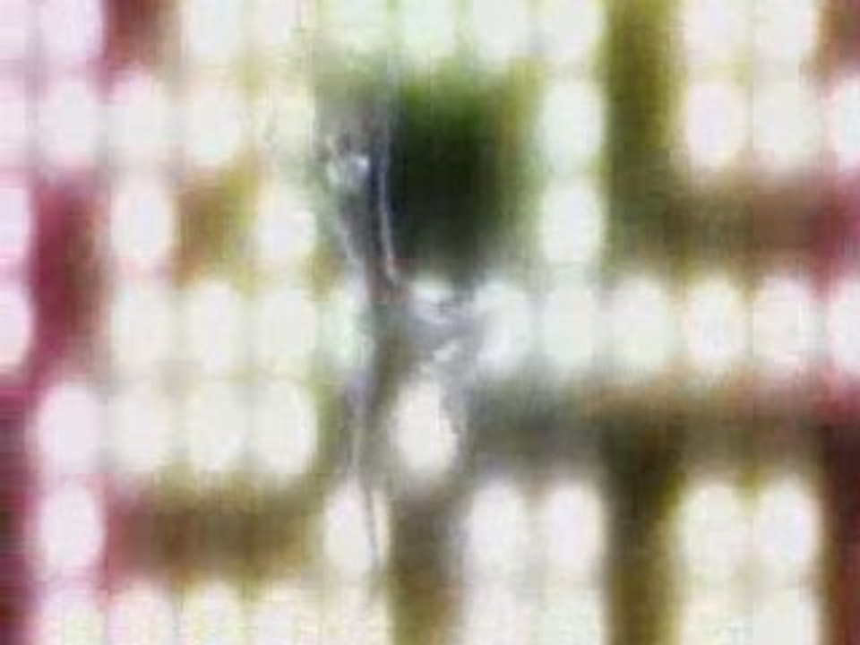 Death Note opening