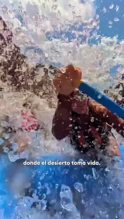 🏜️Viajar a Arizona es adentrarse en un territorio donde la vastedad de sus tierras y la energía de sus ciudades invitan a descubrir que siempre hay algo más por experimentar. 🌵✨