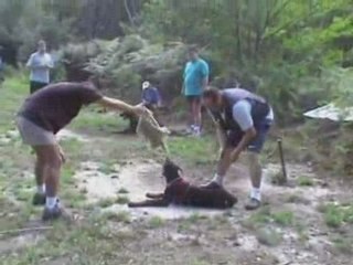 Vacances 2004 extrait chien1