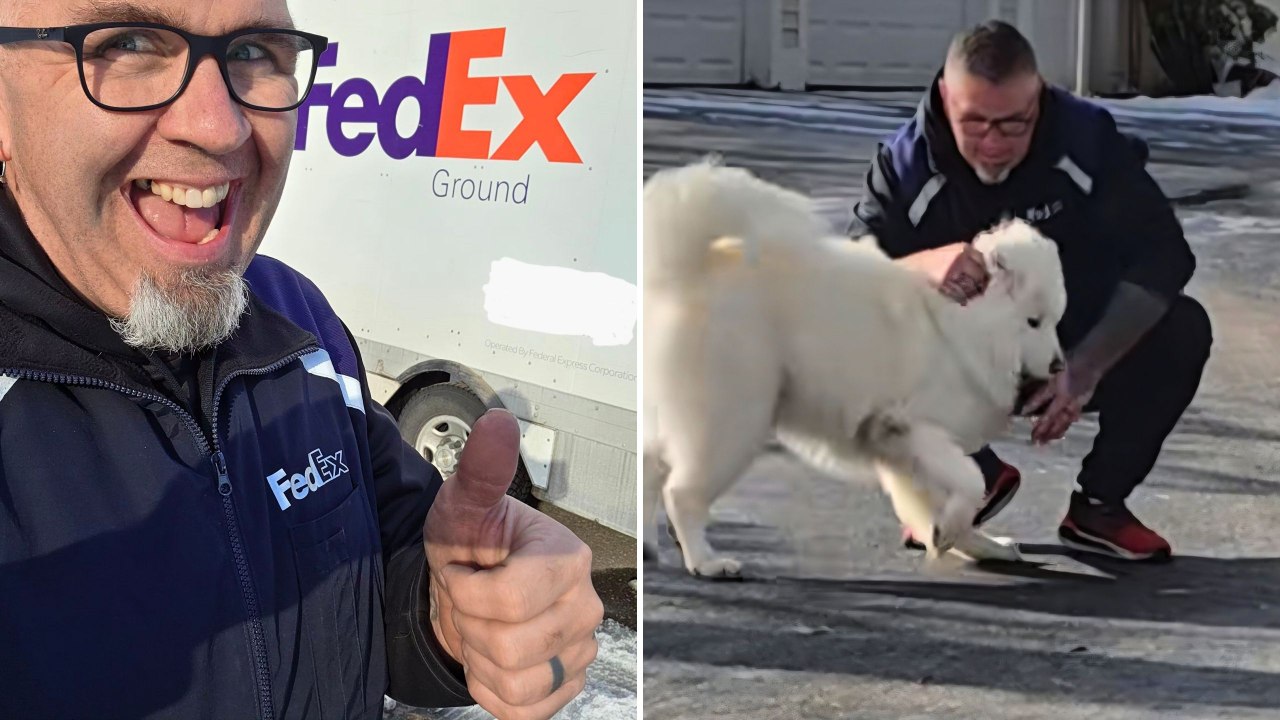 FedEx Driver Builds Wholesome Relationship With Neighborhood Dog | Happily TV