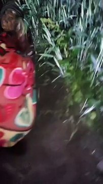 चांदी के गहनों के लिए 90 वर्षीय वृद्धा को चारपाई समेत उठा ले गए बदमाश