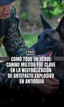 Soldados expertos antiexplosivos del Ejército Nacional, con el apoyo de un canino militar especializado, realizaron la detonación controlada de un artefacto explosivo