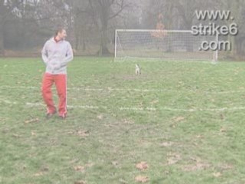 Humour - jackass-KickTheDog