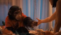 Primate - Tráiler Oficial (Español) © Paramount Pictures Spain