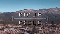 Divlje PčEle Epizoda 65