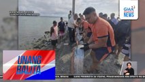Patay na oarfish, napadpad sa dalampasigan | Unang Balita